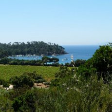 Plage du Pellegrin