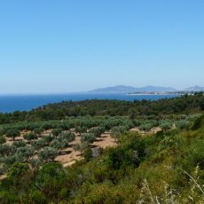 Plage du Pellegrin